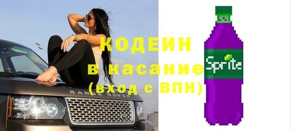 индика Майский