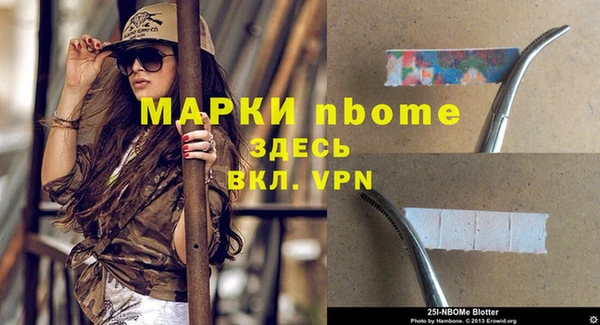 индика Майский