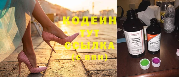 индика Майский