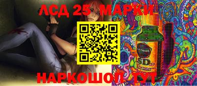 PSILOCYBIN Можга