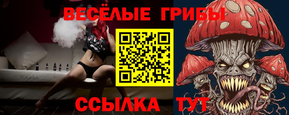 Псилоцибиновые грибы GOLDEN TEACHER  Вход с VPN  Галлюциногенные грибы MAGIC MUSHROOMS  Янаул 